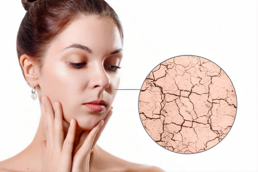 How to Transform Dry Skin: A Scientific Approach to Hydration & Glow